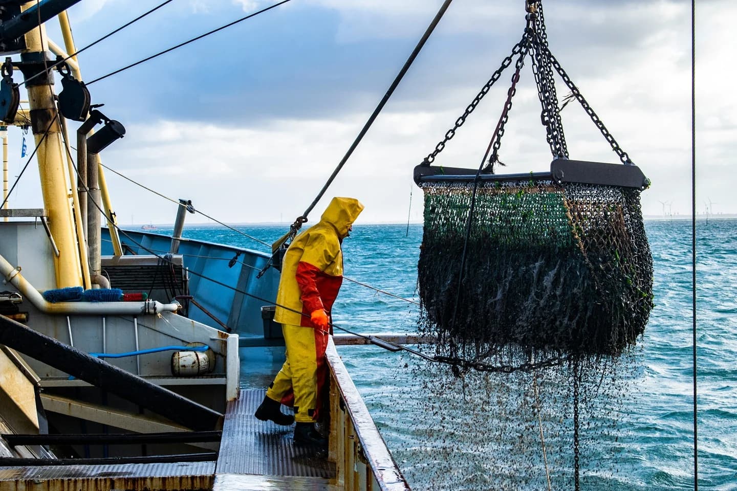 Photographie de la rencontre : Embarquez pour une journée en mer avec moi.